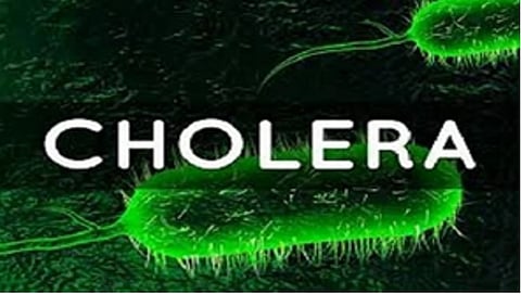 cholera death