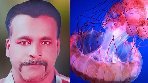 fisherman died, jellyfish