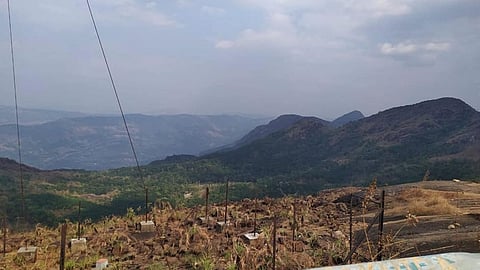eleveezha poonchira