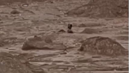 wayanad landslide update