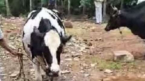 Unlicensed farm was seized