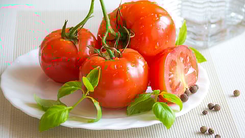 tomato