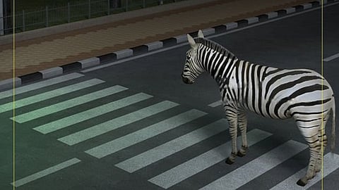 MOTOR VEHICLE DEPARTMENT