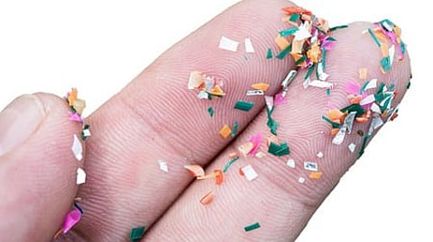 Microplastics are in our brains
