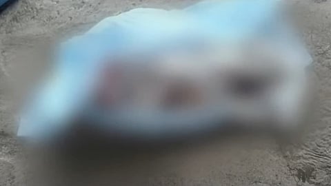 new born baby deadbody