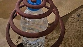 twins in hospital for eating mosquito coil