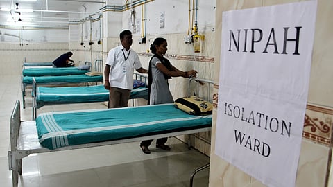 nipah-175 in contact list