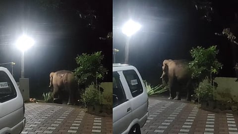 It is not the complainants who reach this police station; elephant instead