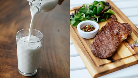 milk and meat