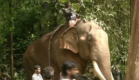 Puthuppally Sadhu  was found