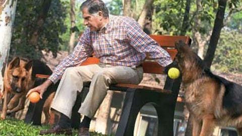 ratan tata with dogs