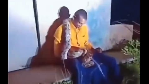 Locals Save Drunk Driver From Snake Bite