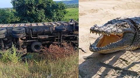 നിയന്ത്രണം വിട്ടുമറിഞ്ഞ ട്രക്ക്