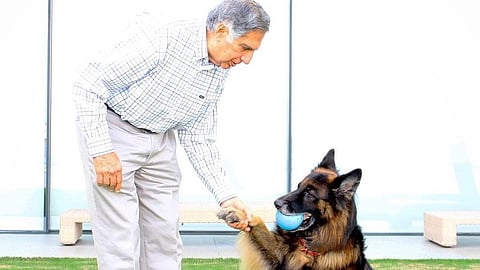 Ratan Tata includes pet dog Tito