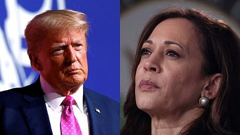 trump and kamala harris