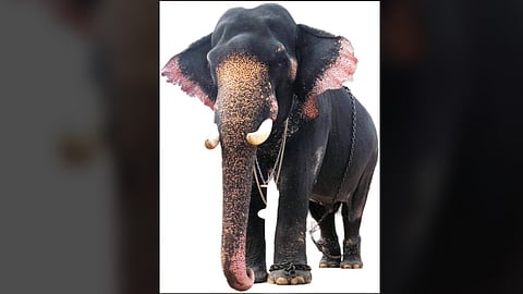 Vadakkumnathan Chandrasekaran