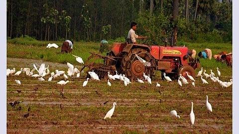 'Asraya' centers are coming up in every Krishi Bhavan area