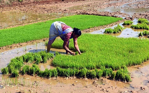 Additional government guarantee of Rs 175 crore for the State Women's Development Corporation