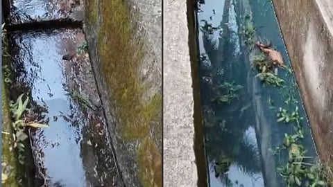 Diesel leak in Elathur; Diesel flows into drain, protests