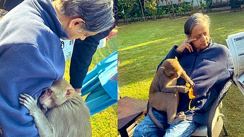 'പത്രം വായിക്കുമ്പോള് അവനെത്തി; മടിയില് ഇരുന്നു ഉറങ്ങി, പഴം കഴിച്ചു'; അപ്രതീക്ഷിത അതിഥിയെക്കുറിച്ച് ശശി തരൂര്