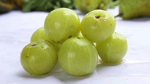 amla pickle