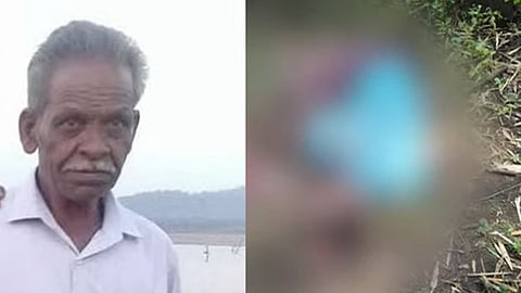 WILD ELEPHANT ATTACK