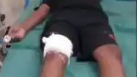 wild boar attack in sabarimala