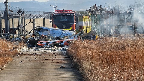 29 passengers died after a plane caught fire on landing at the airport in southern South Korea