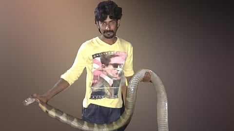 Snake