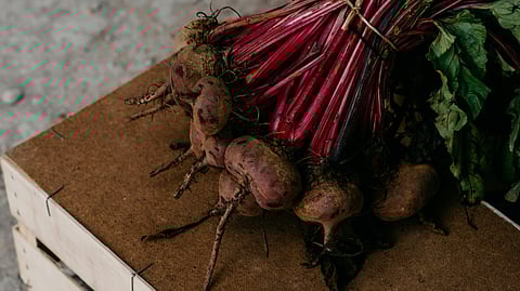 beetroot