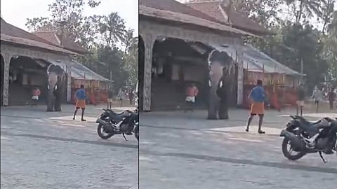 Elephant attacked at Mathikunnu temple in Thrissur