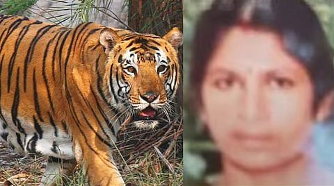 Massive protest in Wayanad after woman attacked by tiger