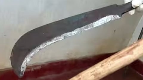 nenmara double murder case