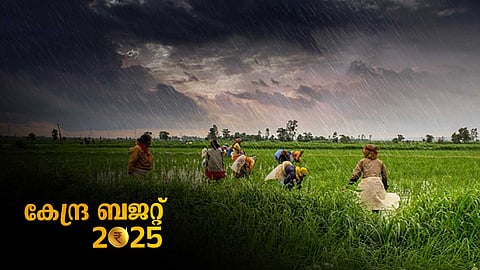 PM Dhan Dhyan Krishi Yojana budget 2025