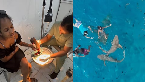 മാലദ്വീപില് അവധി ആഘോഷിക്കാനെത്തി, സ്രാവിന്റെ കടിയേറ്റ് യുവതിക്ക് പരിക്ക്, വിഡിയോ വൈറല്