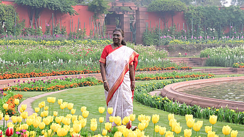 ദ്രൗപദി മുര്മു