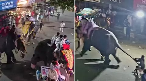 pattambi-nercha elephant runs away during video