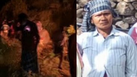 Wild Elephant Attack