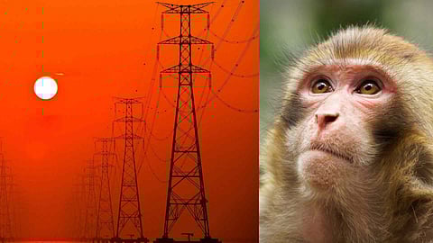 power outage in sri lanka