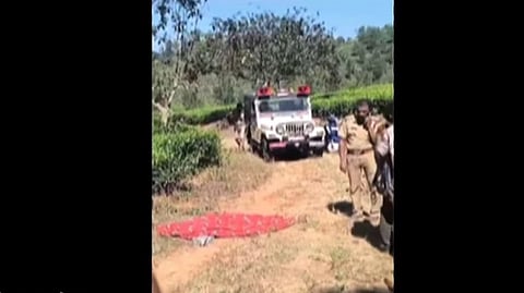 Wild elephant kills again; one more person dies in Wayanad