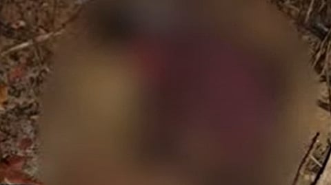 wild elephant attack at kannur