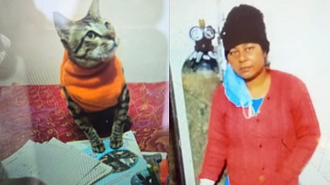 യുവതിയും പൂച്ചയും