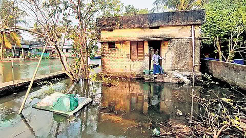 Dredging will be carried out in Vembanad Lake to avoid waterlogging in remote homes