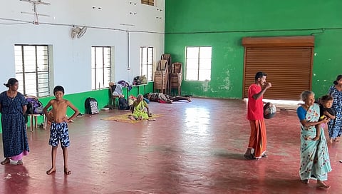 Bee swarm threat; 40 families relocated