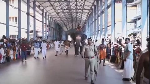 guruvayur anayottam