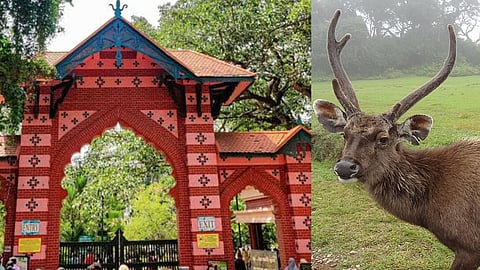 dead sambar deer at Thiruvananthapuram zoo has rabies