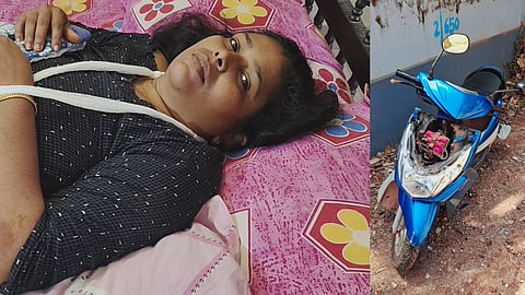 Wild boar jumps across, hits scooter