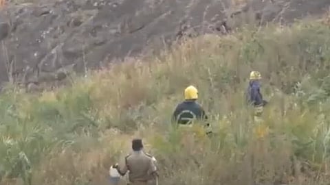 Wasp attack on entertainment group in Gudalur; Malayali youth dies