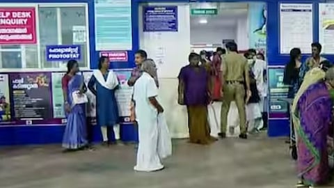 Youth dies in wild elephant attack in Palakkad