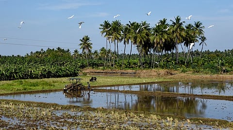 One-time settlement scheme for Undervaluation of document cases extended